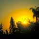 Image for article titled Shooting Challenge Sunset Gallery 3